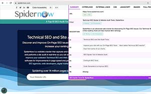 Google Chrome Extension in Browser