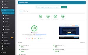 Google Metric Score Audit