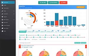 Website SEO Performance